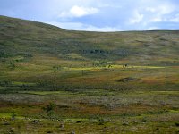 DSC 5728