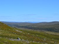 DSC 5850