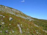 DSC 5869