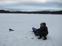 IMG 4722  ehdin ottamaan kuvan ennen kuin kärsivällisyys lopahti