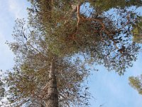 IMG 4751  tässä alla nukuimme