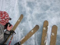 IMG 4793  Oisko ötökkä lumella