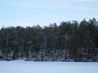 IMG 4823  oikaistaanko?